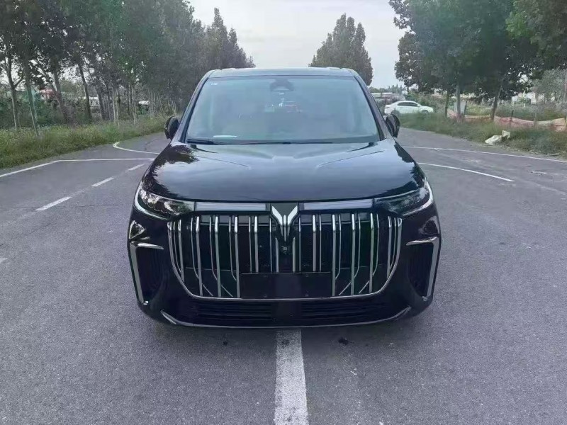 济宁23年岚图汽车梦想家1