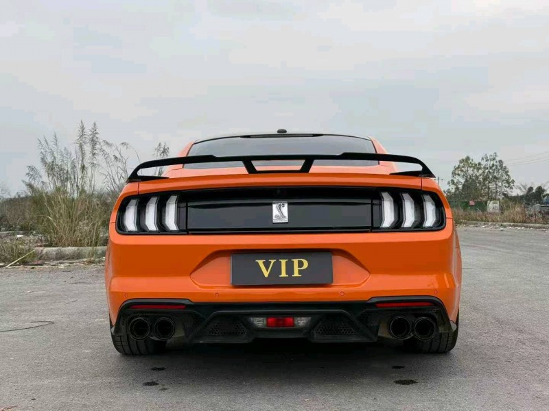 柳州20年福特野马9