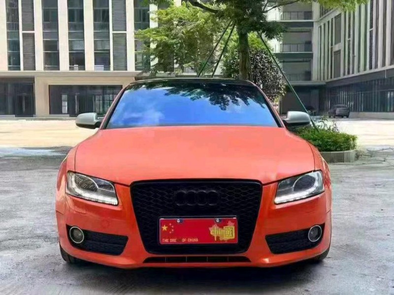 广州11年奥迪A51