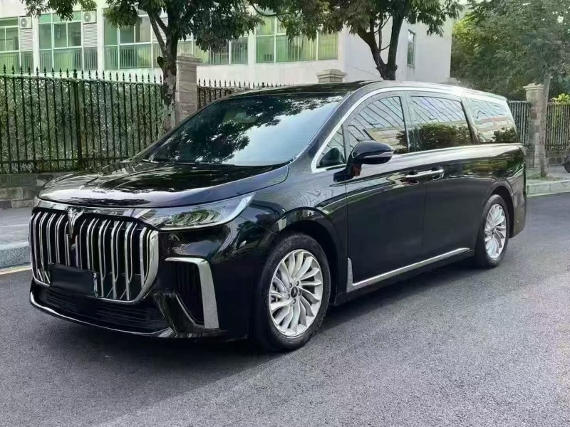 广州24年岚图汽车梦想家3