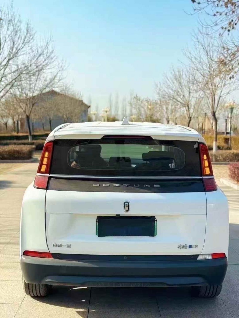 忻州24年奔腾nat6