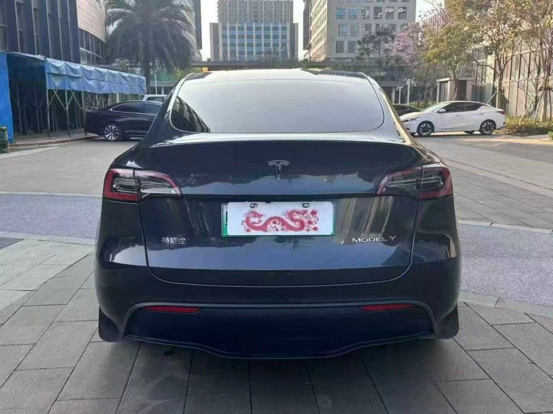 汕头25年特斯拉MODEL Y8