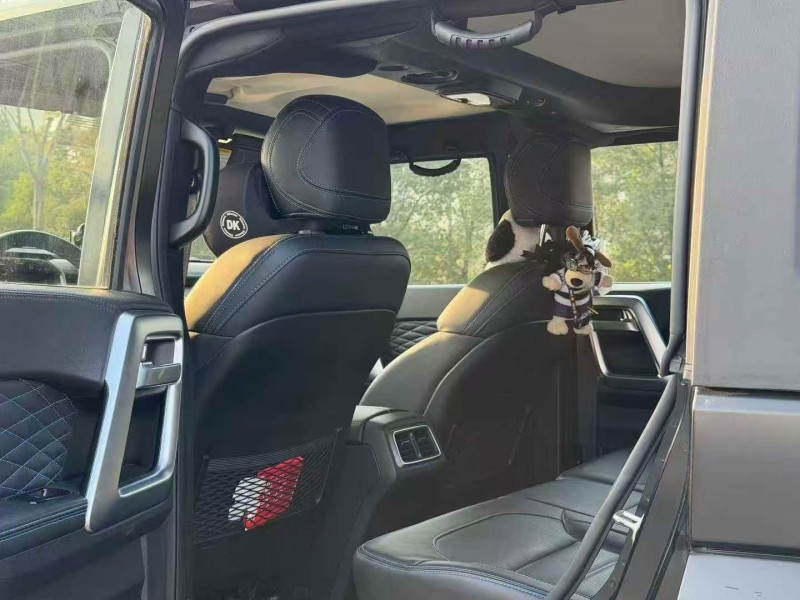 岳阳23年北京BJ405