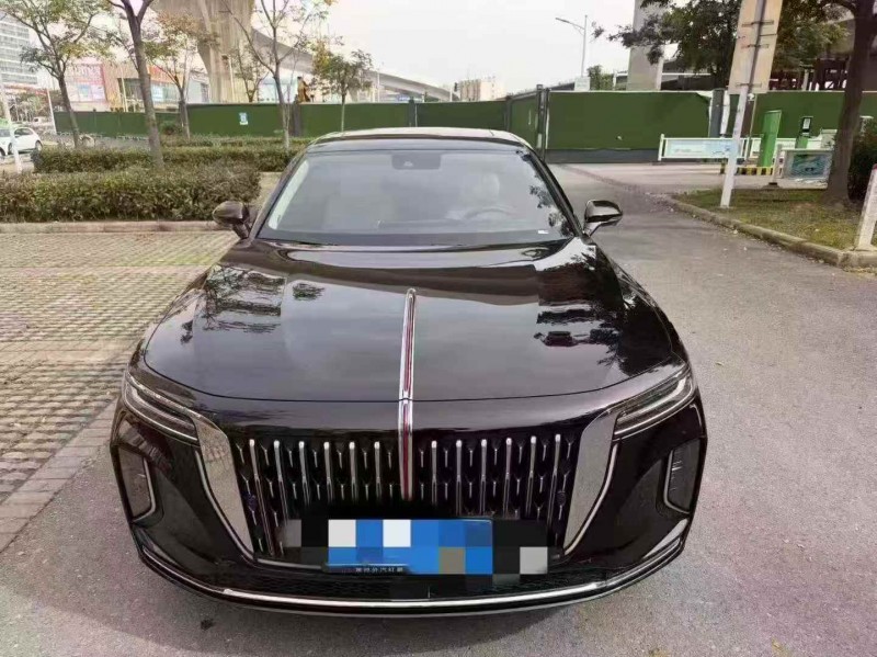 襄阳24年红旗H91