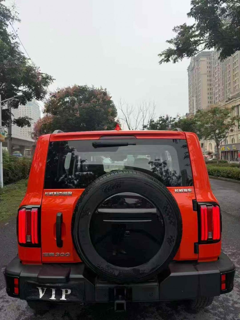 襄阳24年长城汽车坦克5