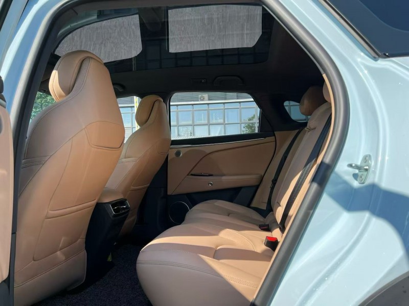 东莞25年极狐汽车阿尔法6