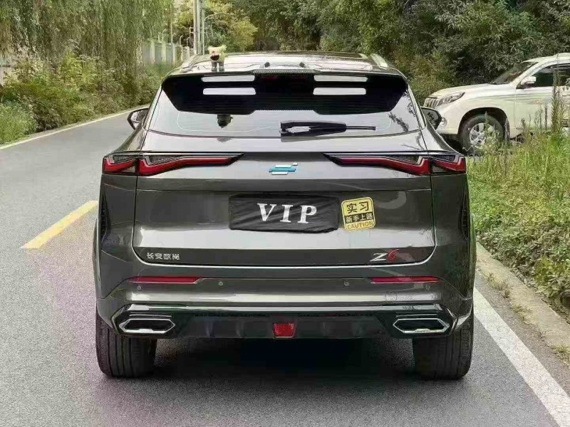 泸州24年长安汽车欧尚9