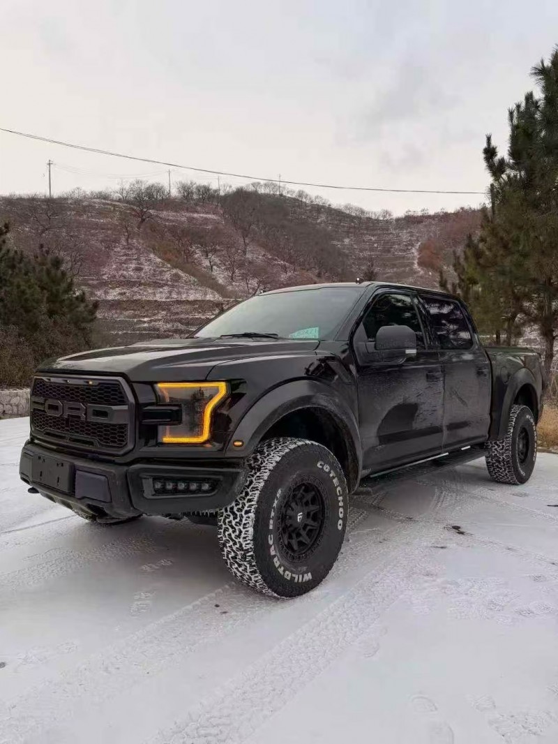 潍坊19年福特猛禽2