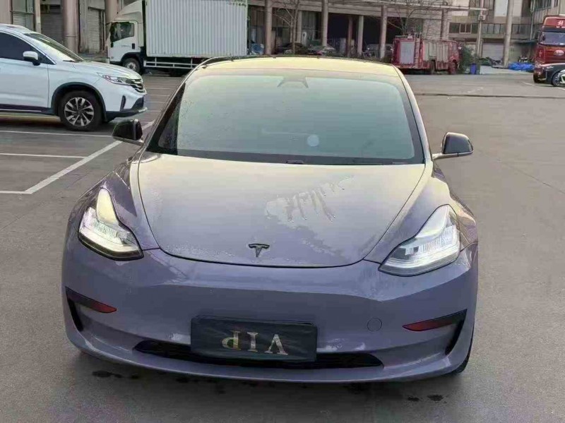 湖州20年特斯拉MODEL 31