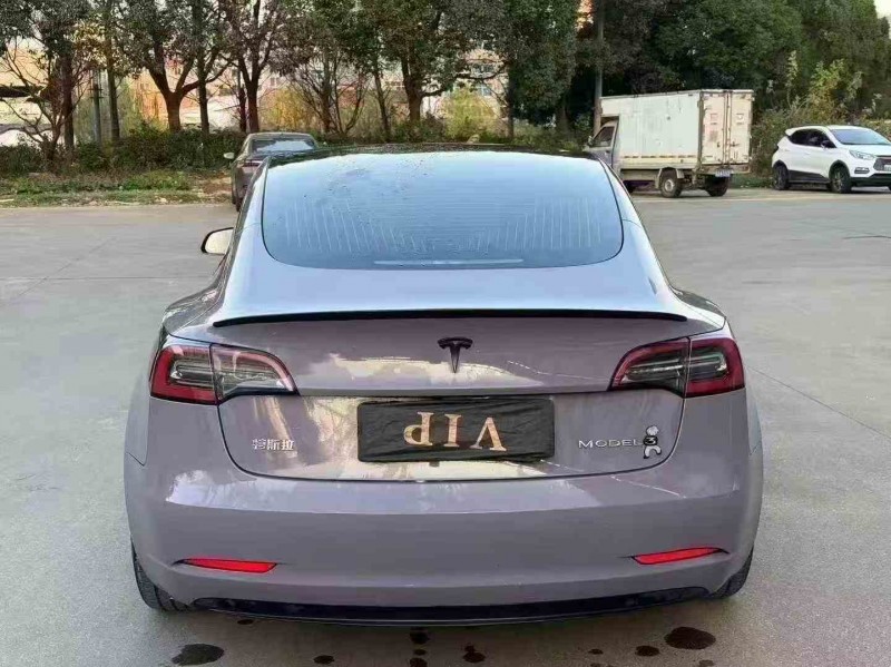 湖州20年特斯拉MODEL 39