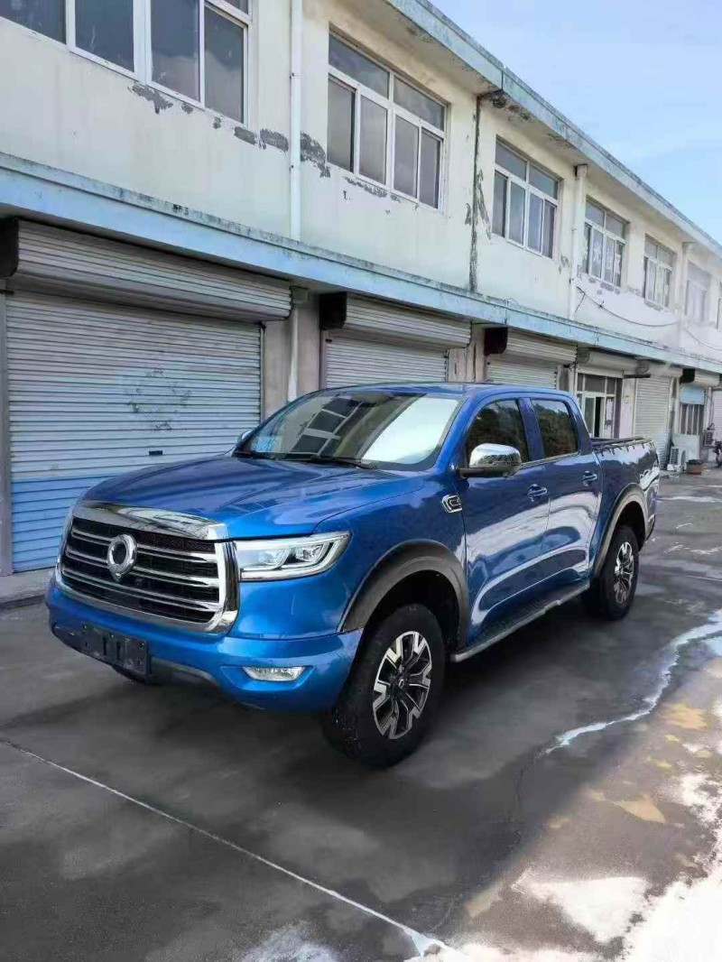 枣庄20年长城汽车炮 皮卡2