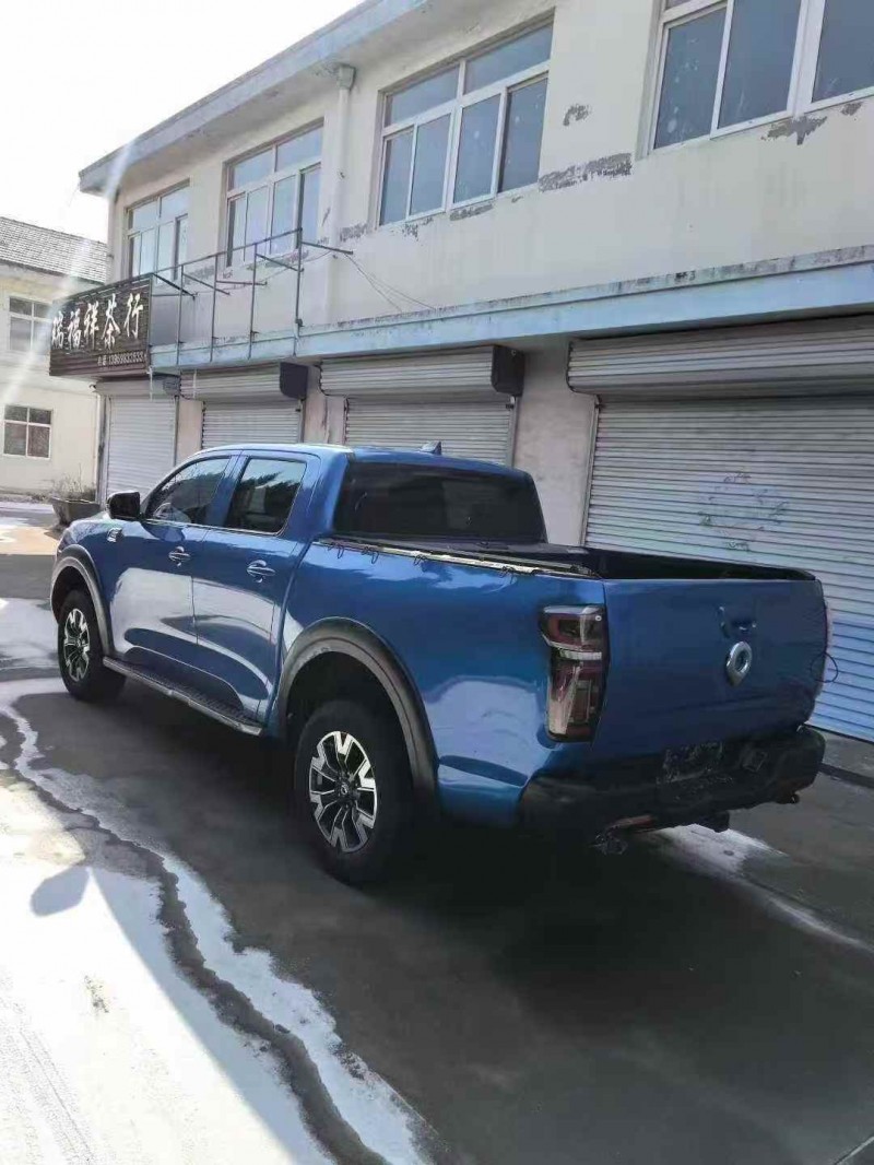 枣庄20年长城汽车炮 皮卡7