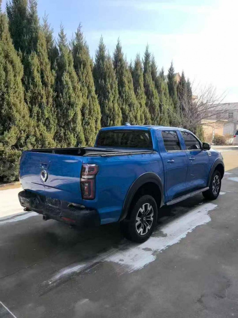 枣庄20年长城汽车炮 皮卡8