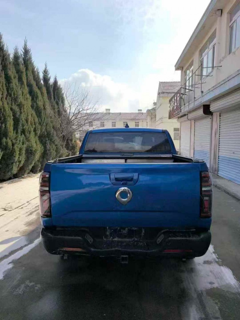 枣庄20年长城汽车炮 皮卡9