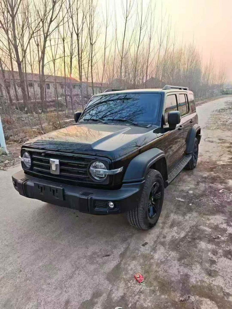 枣庄25年长城汽车坦克2