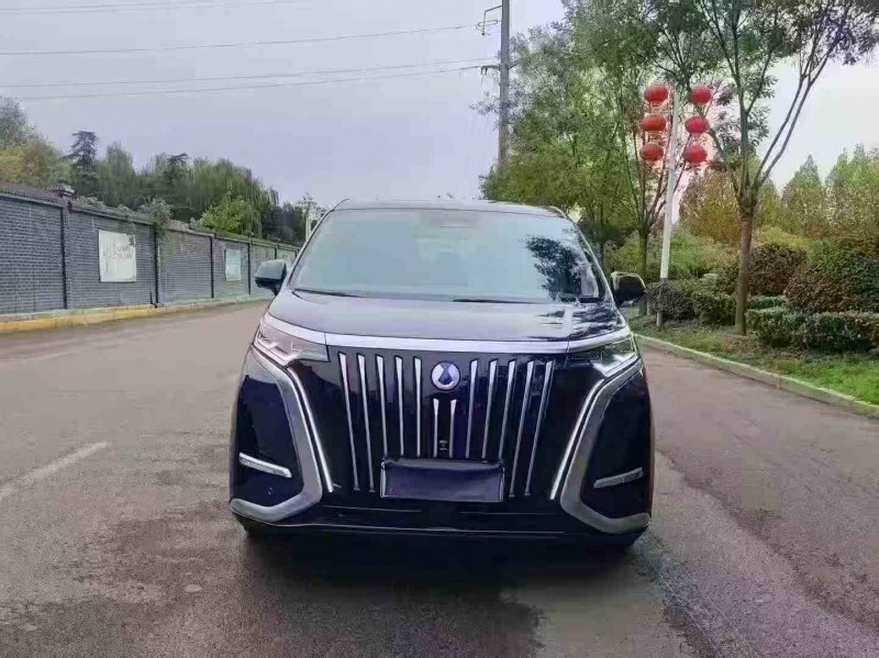 枣庄24年腾势D91