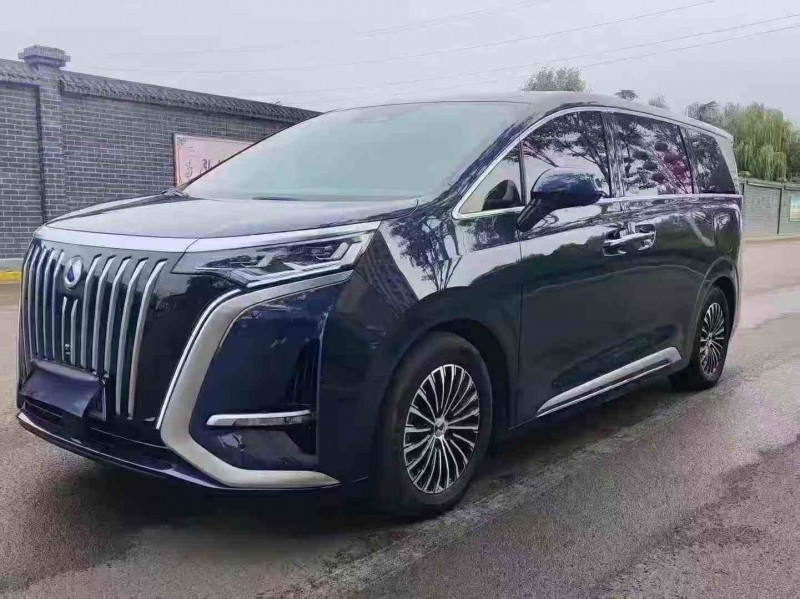 枣庄24年腾势D93