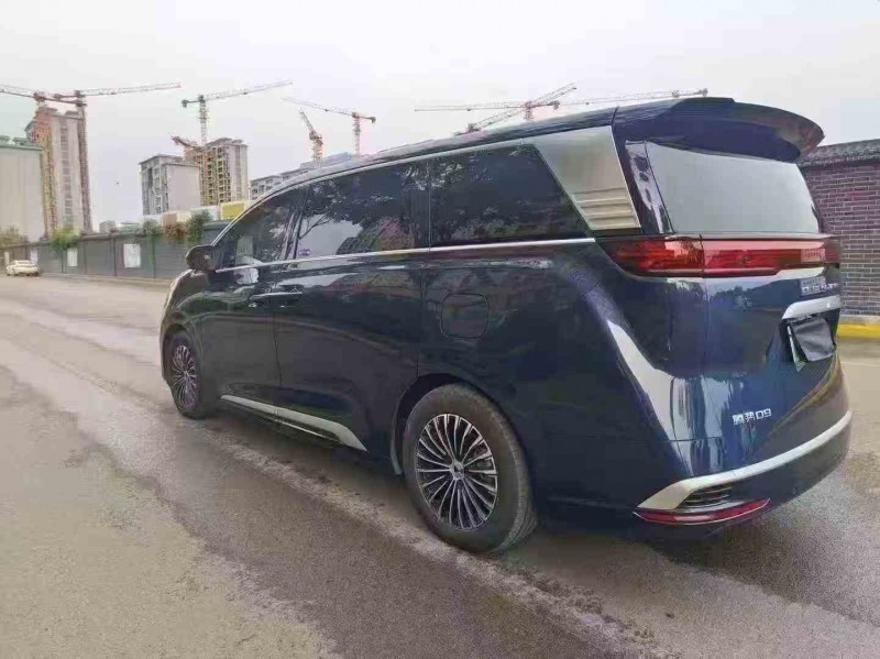 枣庄24年腾势D98