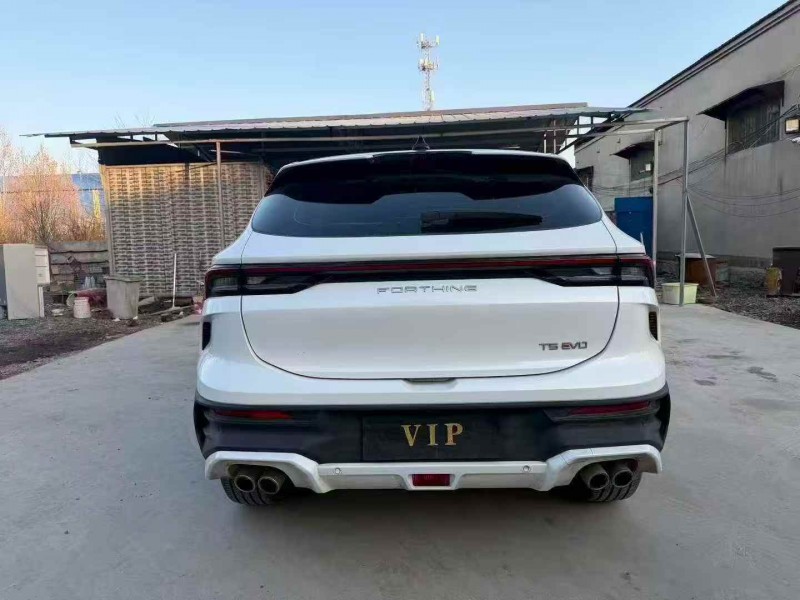 潍坊24年东风风行8