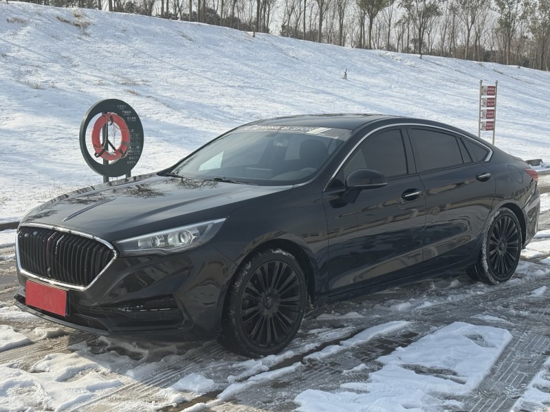 新乡20年红旗H53