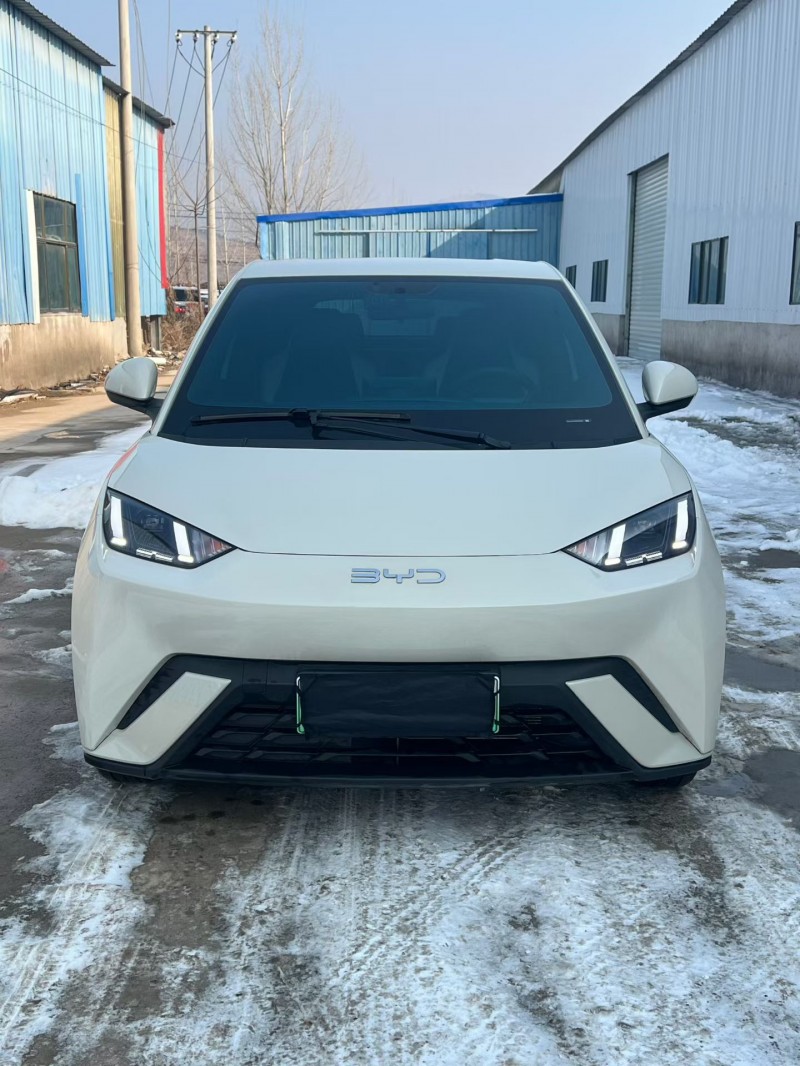 徐州25年比亚迪海鸥1