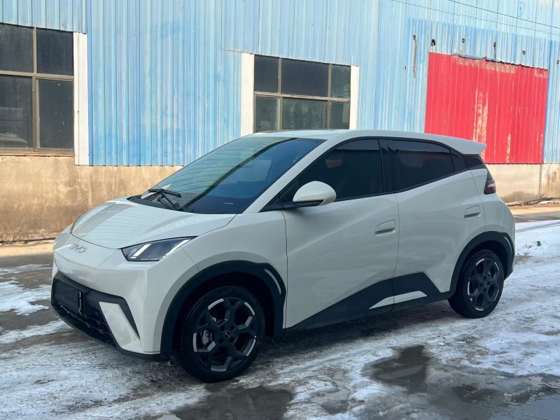 徐州25年比亚迪海鸥3