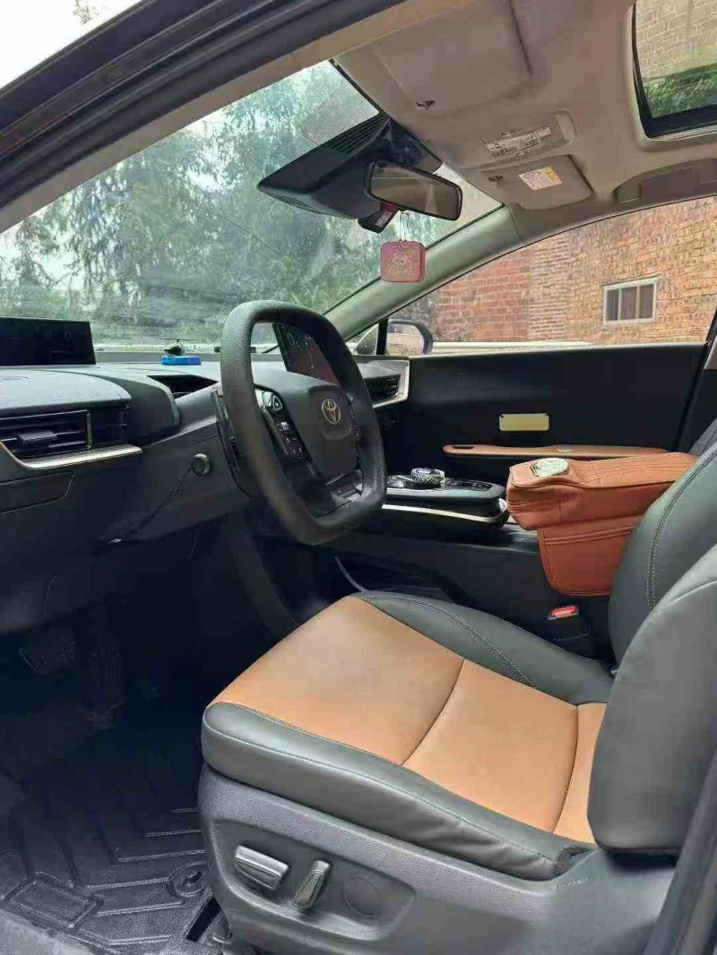 邵阳23年丰田BZ3Pro5