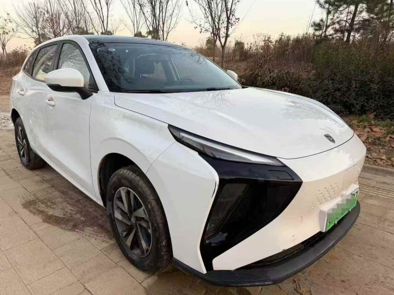 荆州24年东风风行2