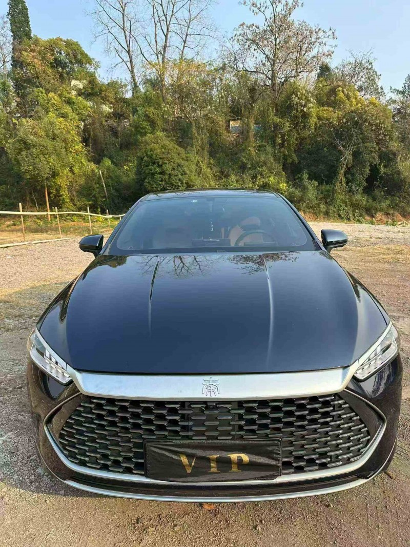 常德24年比亚迪秦1