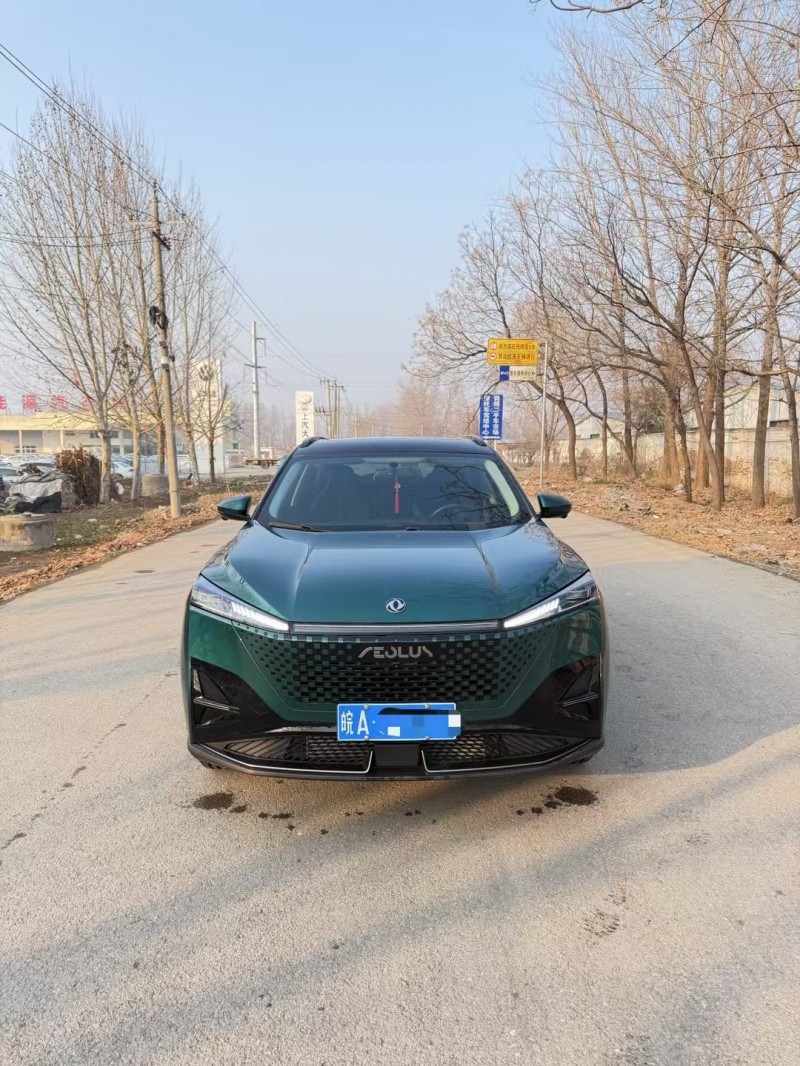 菏泽24年东风风神1