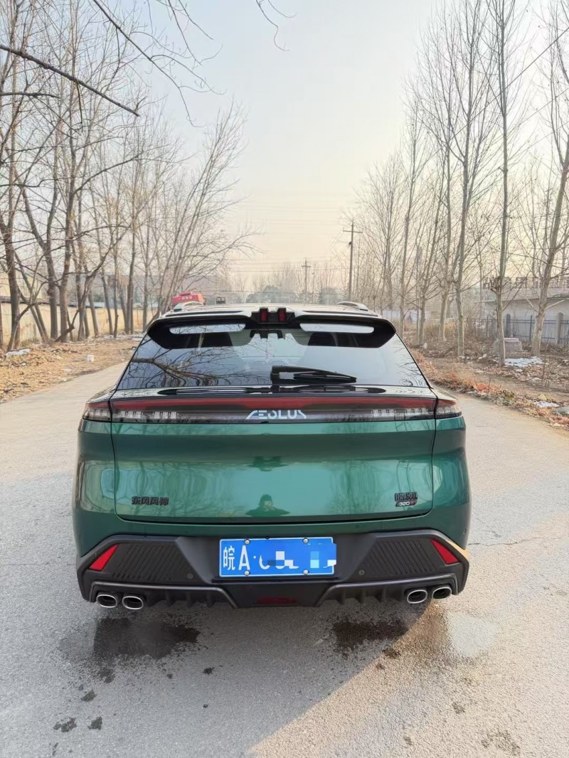 菏泽24年东风风神9