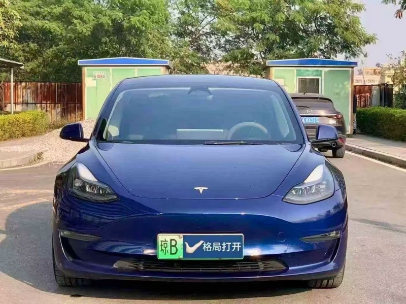 东莞22年特斯拉MODEL 31