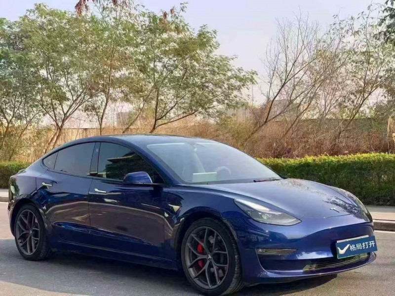 东莞22年特斯拉MODEL 33