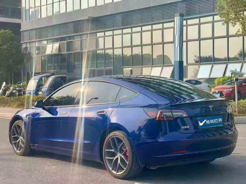 东莞22年特斯拉MODEL 38