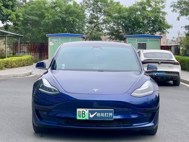 东莞20年特斯拉MODEL 31