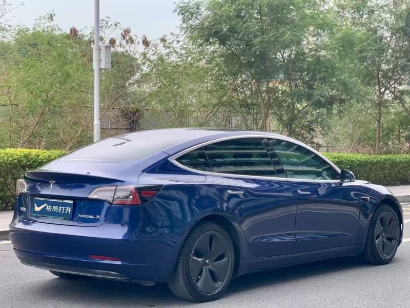 东莞20年特斯拉MODEL 37