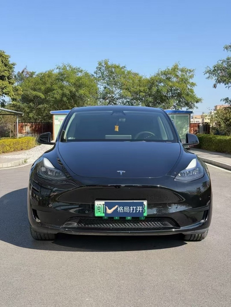 东莞22年特斯拉MODEL Y1