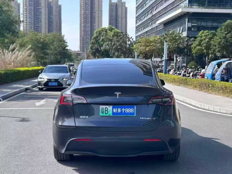 东莞24年特斯拉MODEL Y9
