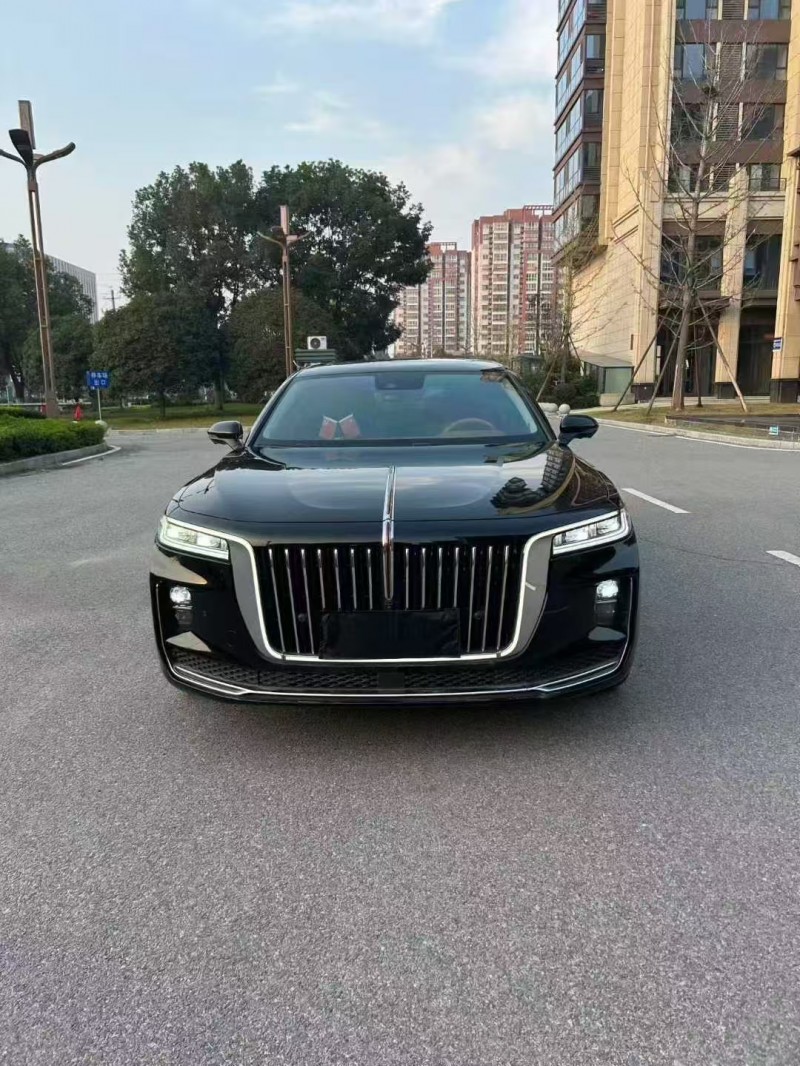 安阳21年红旗H91