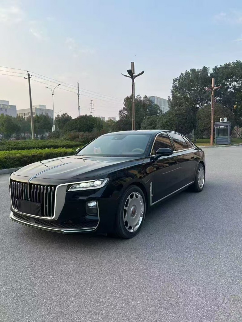 安阳21年红旗H98