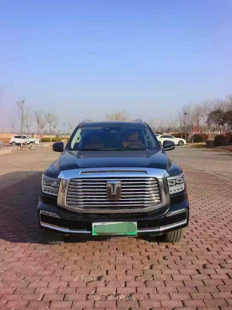 淄博23年长城汽车坦克1