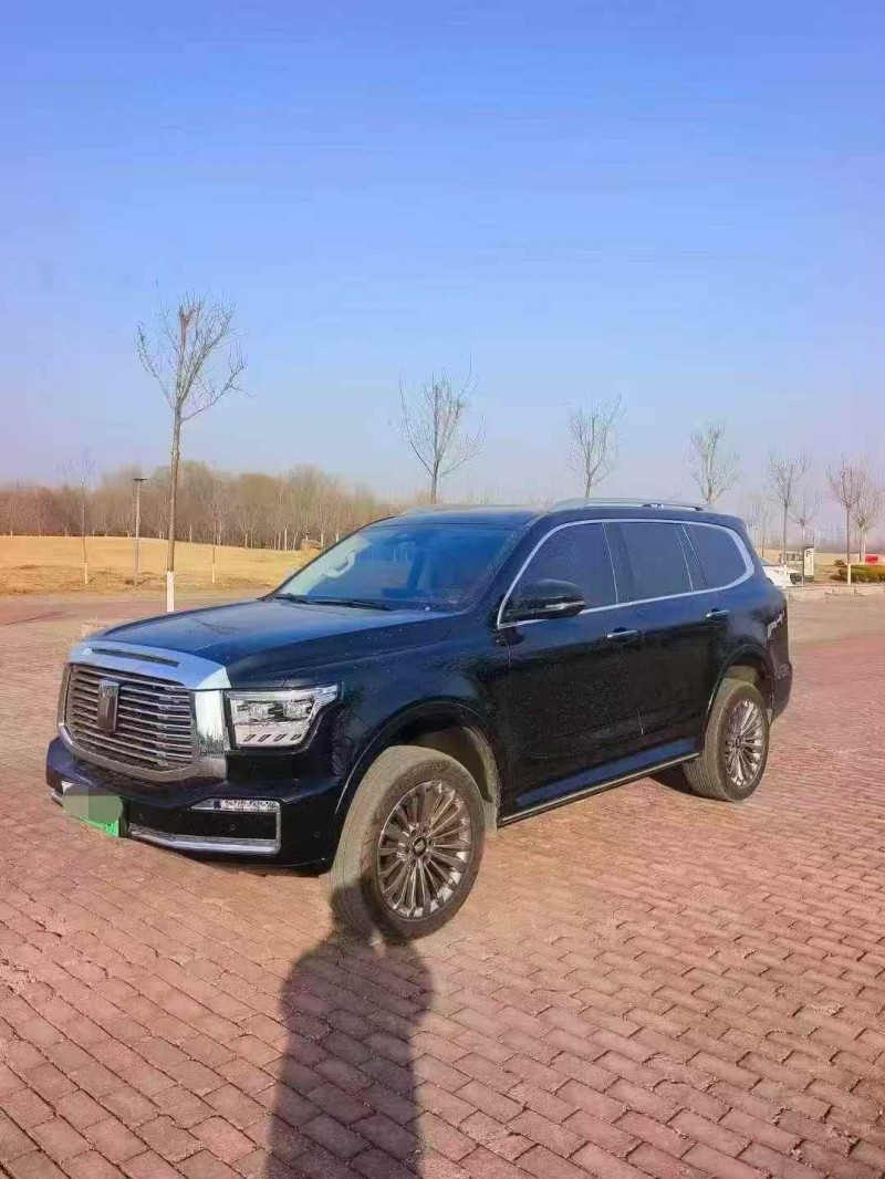 淄博23年长城汽车坦克2