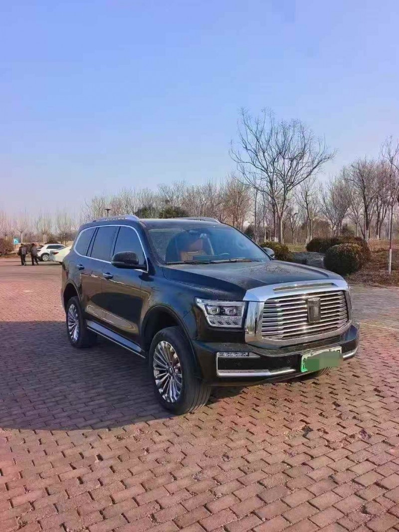 淄博23年长城汽车坦克3