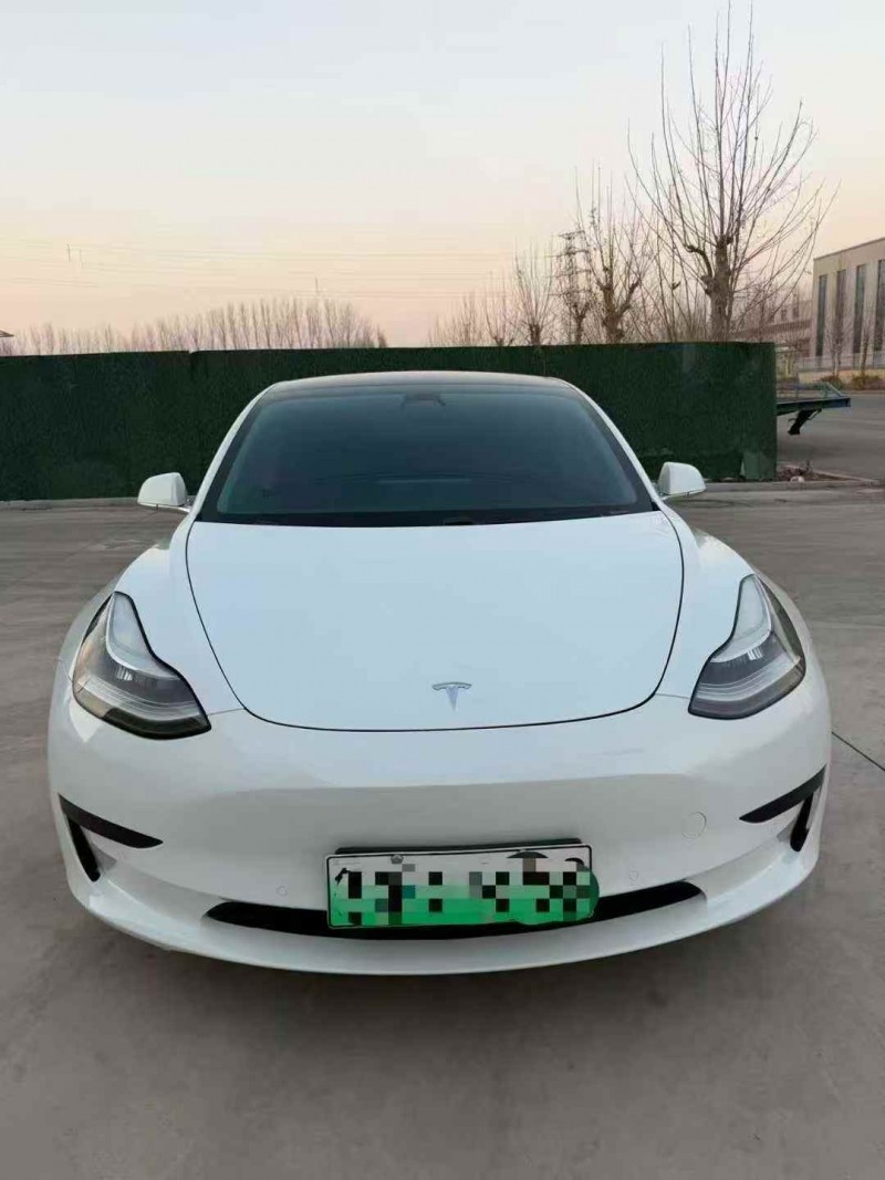 潍坊20年特斯拉MODEL 31