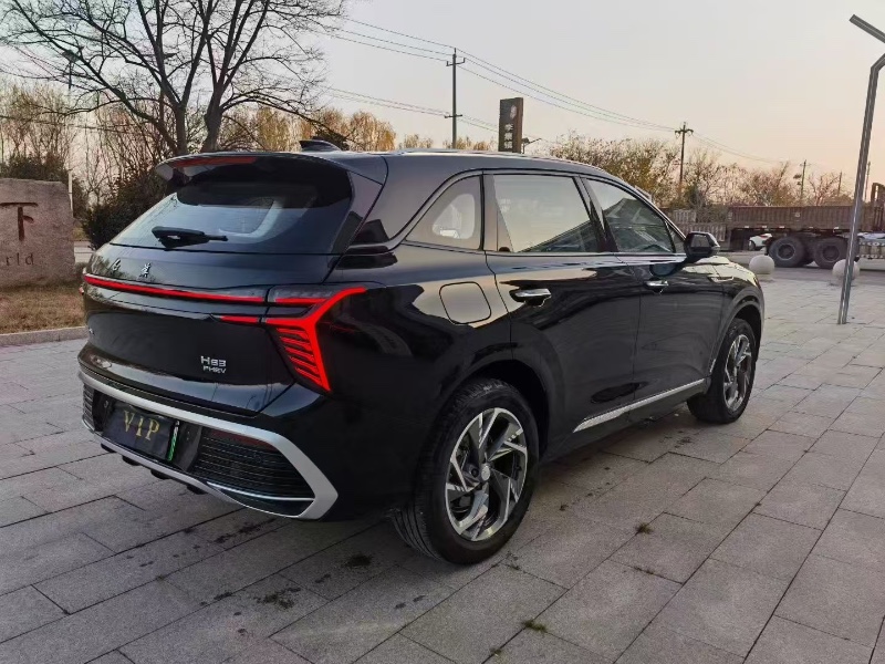 宿州25年红旗HS34