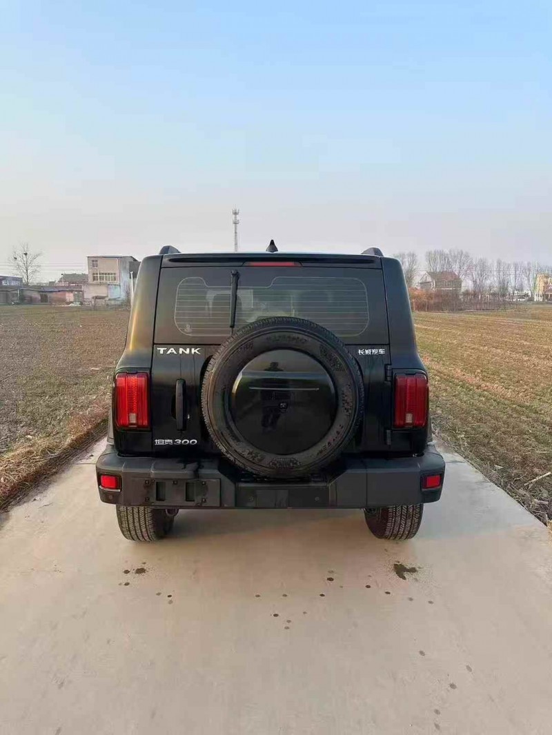 菏泽23年长城汽车坦克7