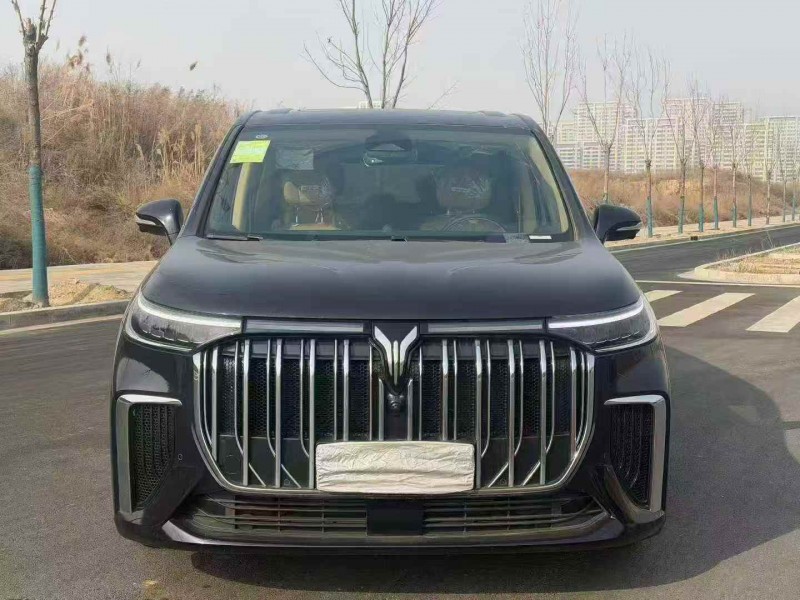 邯郸25年岚图汽车梦想家1