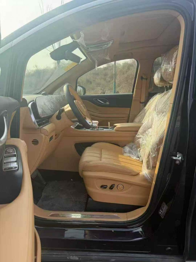 邯郸25年岚图汽车梦想家6