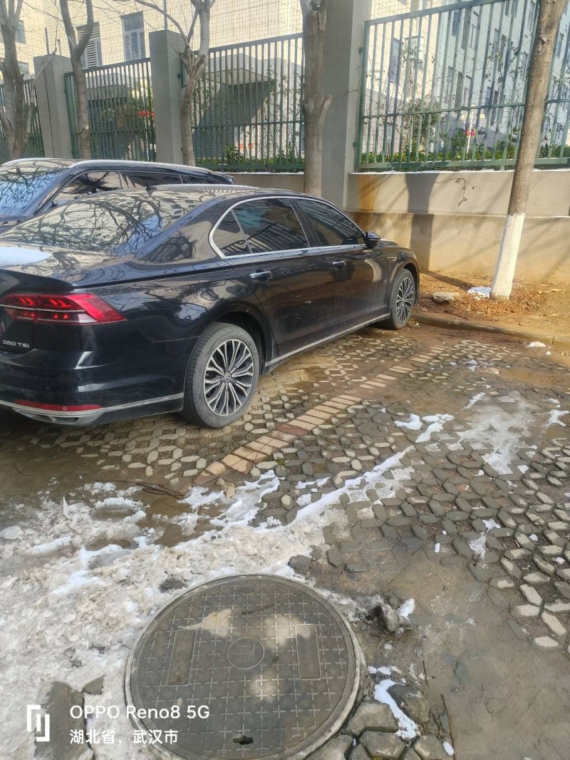 武汉19年大众辉昂1