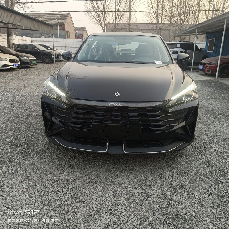 廊坊25年东风风神1